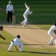 Some cricket gentlemen.